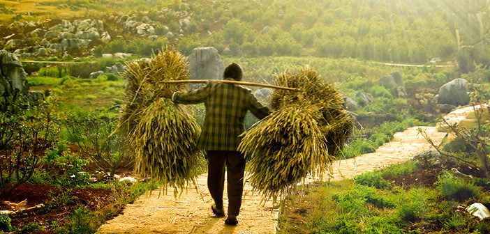 calismak ibadettir2 702x336 1